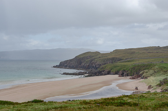 DSC_6993
