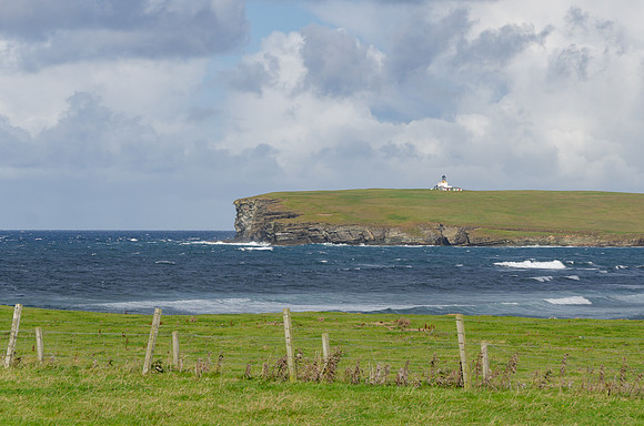 DSC_7338