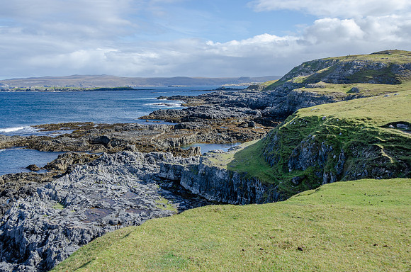 DSC_6944