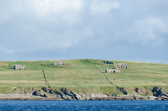 DSC_7487