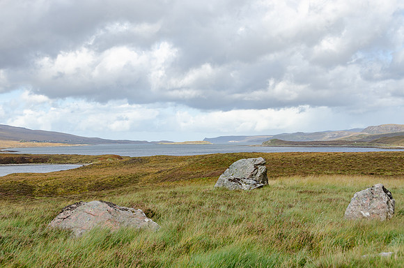 DSC_7033