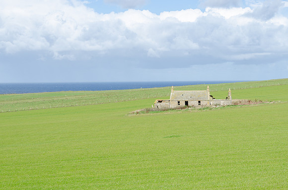 DSC_7363