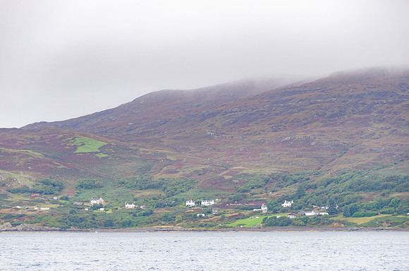 DSC_6203