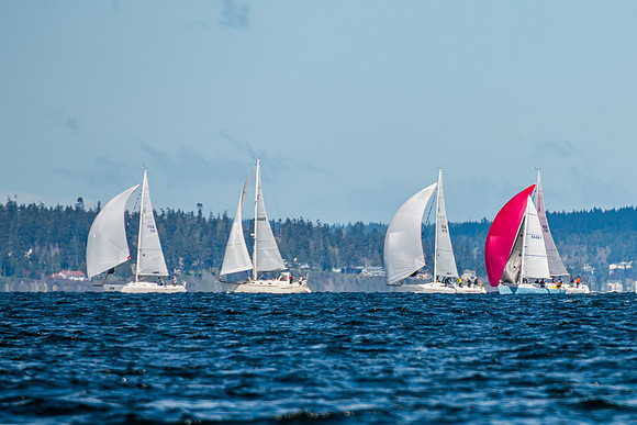 DSC_0206