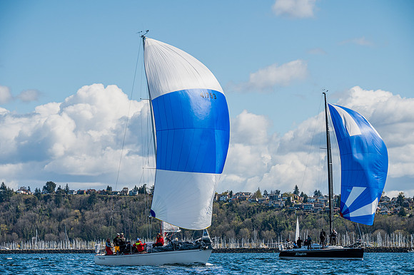 DSC_0436