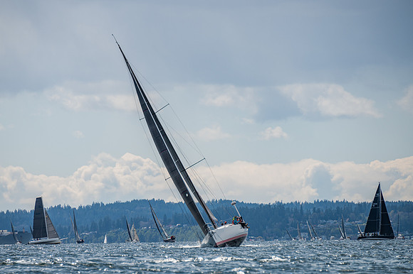 DSC_0563