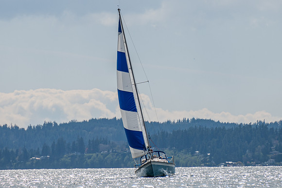 DSC_1148