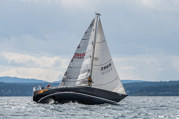 DSC_1175