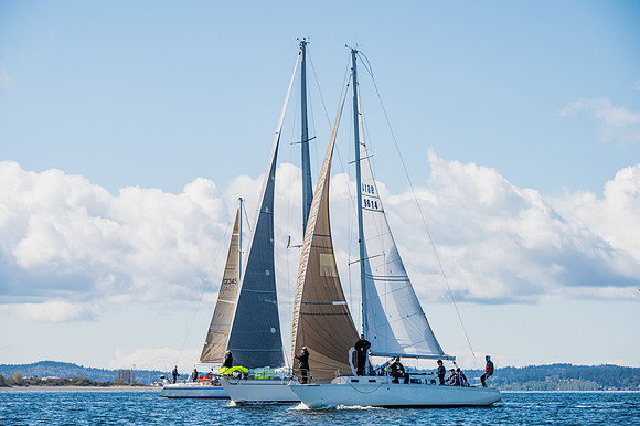 DSC_9889