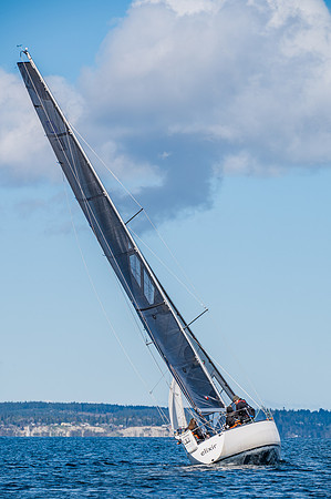 DSC_9842