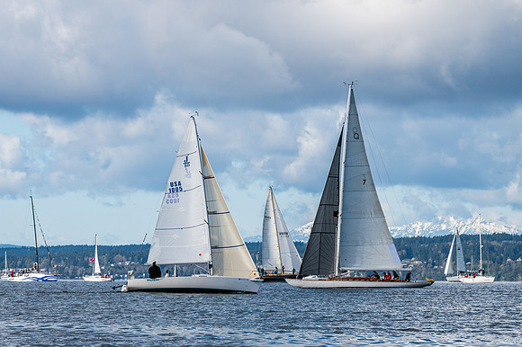 DSC_9532
