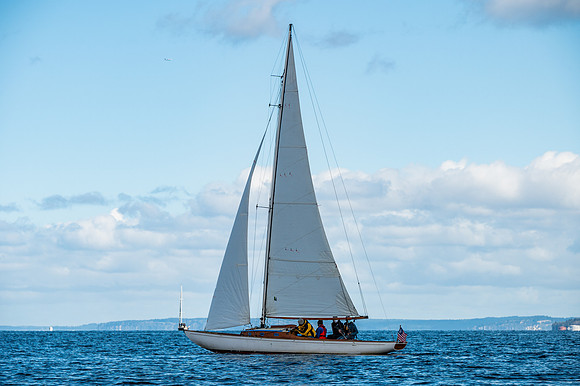 DSC_9564