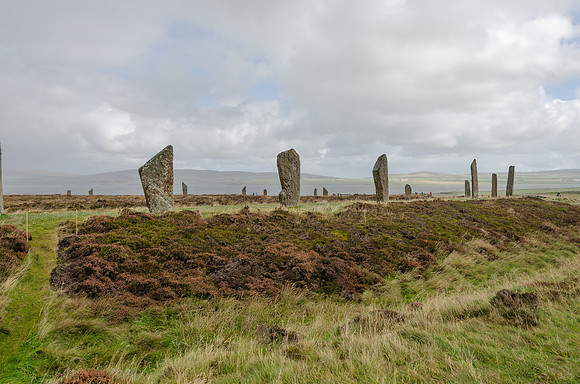 DSC_7372