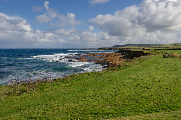 DSC_7345