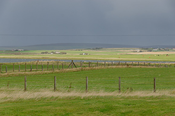 DSC_7402