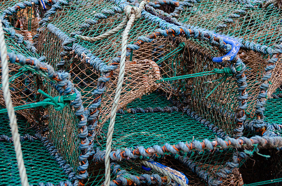 DSC_6150