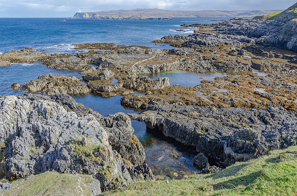 DSC_6956