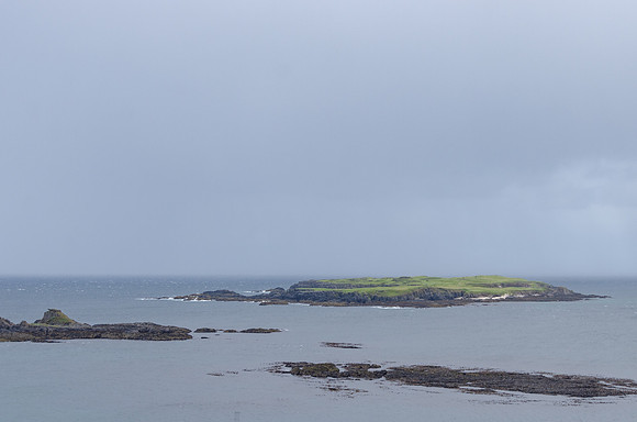DSC_6985