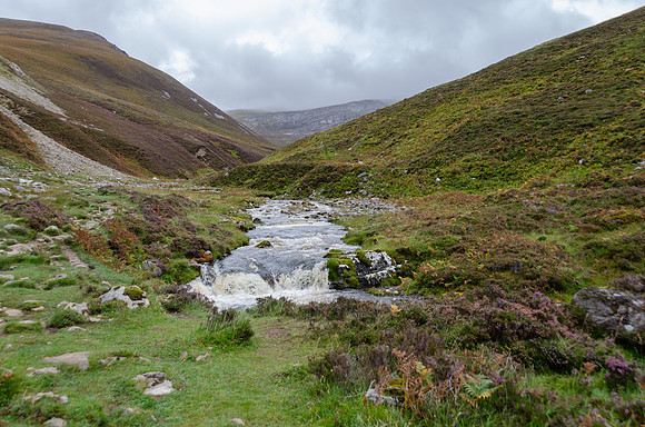 DSC_6596
