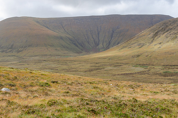DSC_7171