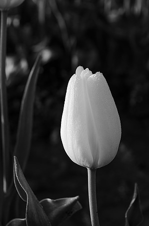 DSC_0731
