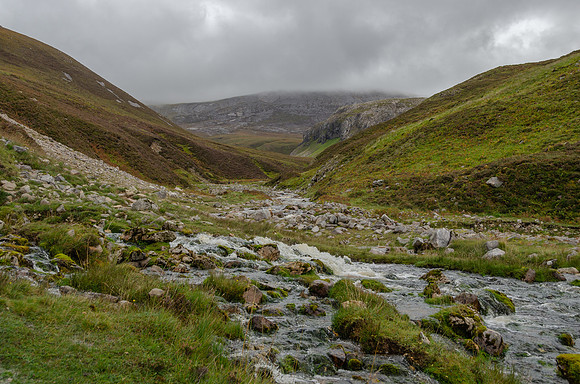 DSC_6602