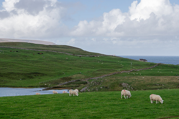 DSC_6778