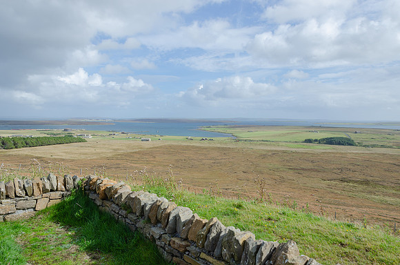 DSC_7145