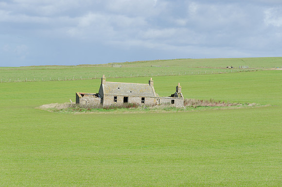 DSC_7360