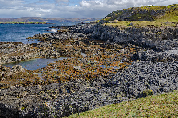DSC_6963
