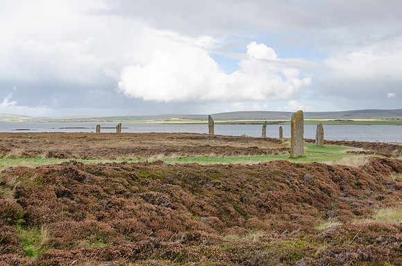 DSC_7379