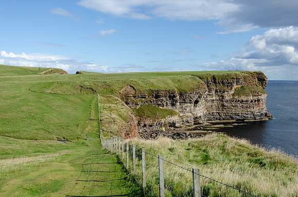 DSC_7543