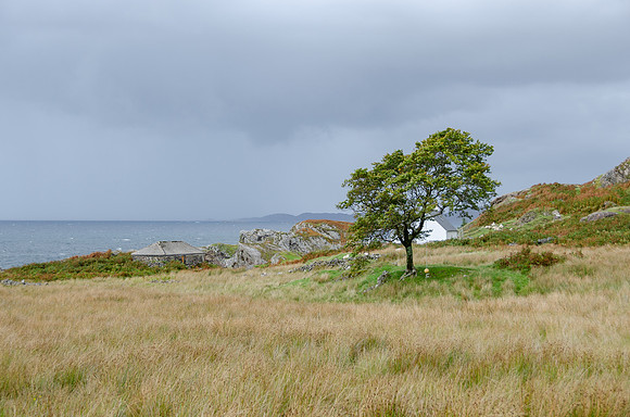 DSC_6288