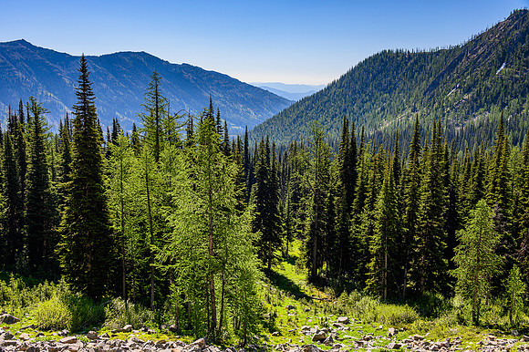 North Cascades View 12