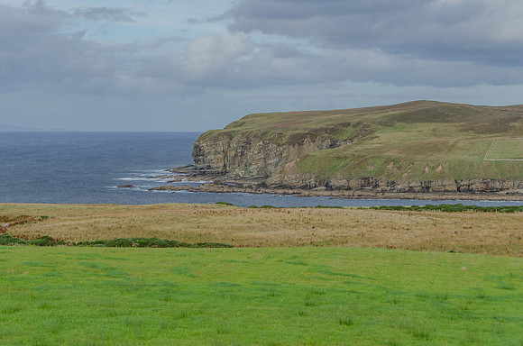 DSC_7084