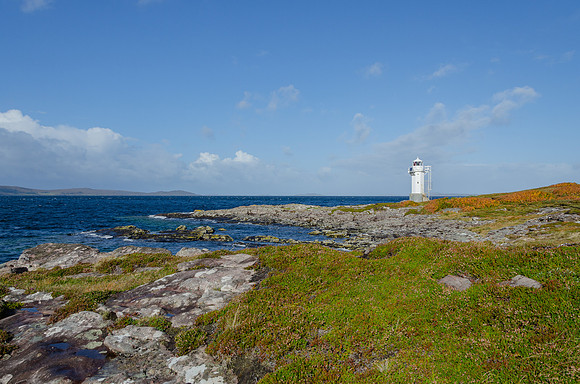 DSC_6516