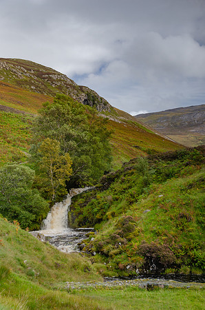 DSC_6667