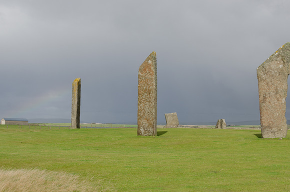 DSC_7397