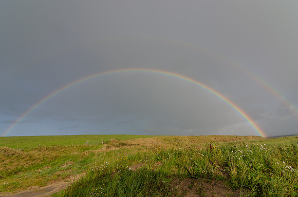 DSC_7434