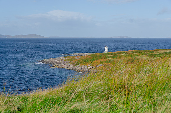 DSC_6500