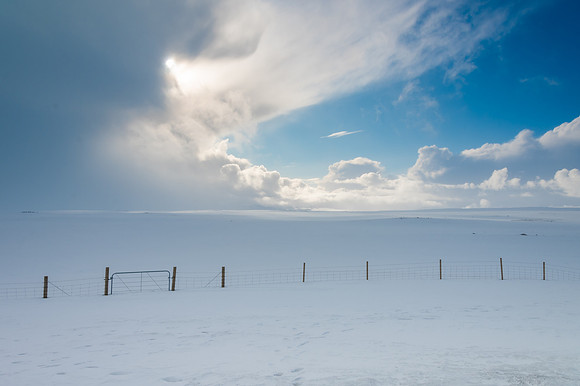 DSC_3917 Icelandic Fence 12x18 $95