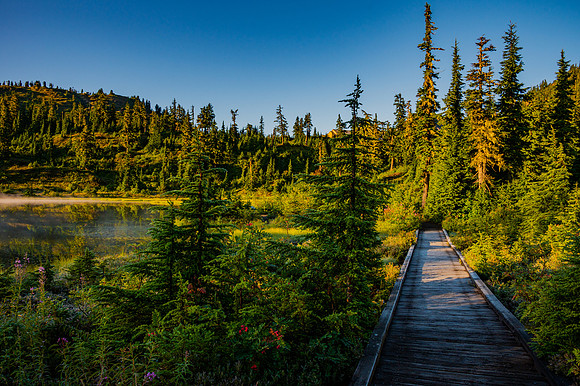 DSC_8570 Boardwalk at Picture Lake 10x15 $55