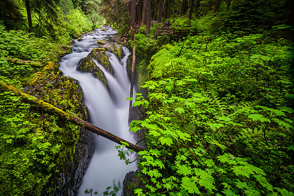 DSC_6672-Sol Duc Falls 12x18 $95