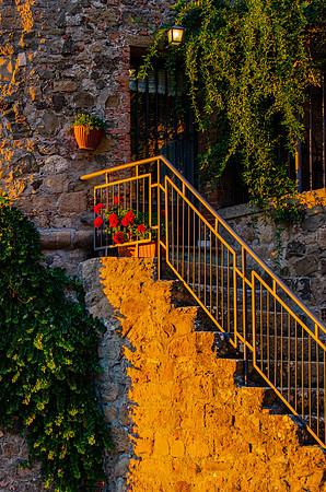 DSC_2270 Tuscany Stairs 12x18 $95