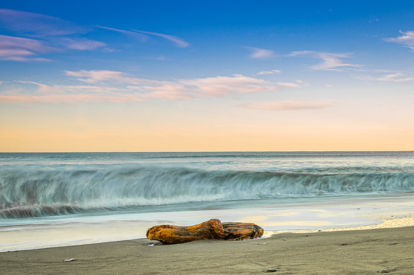 DSC_2933 Wave and Log 8x12 $40