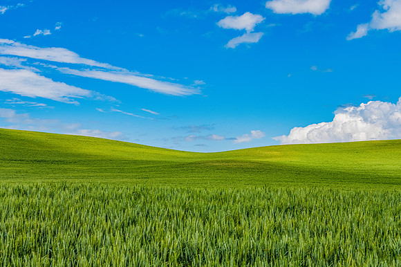 DSC_5819 The Palouse Rolling Hills 12x18 $95
