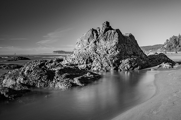 DSC_2717-2 Washington Coast B&W 12x18 $95