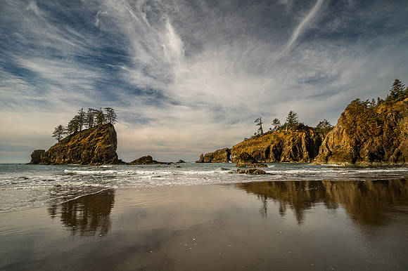 DSC_3233 Oregon Coast 12x18 $95