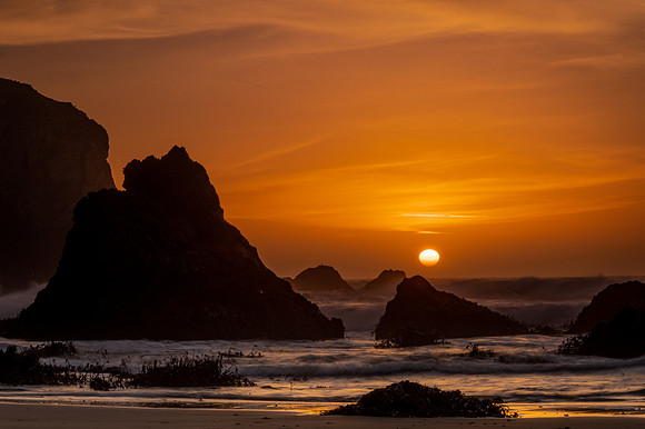 DSC_5041 Sunset on the Oregon Coast 16x24 $150