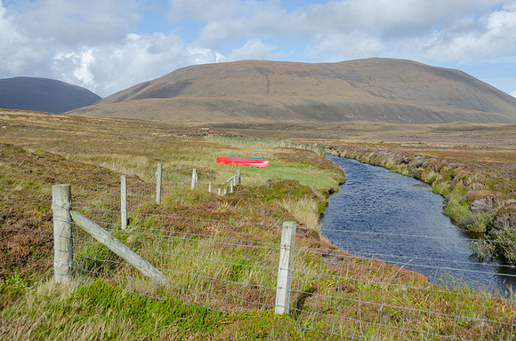 DSC_7198